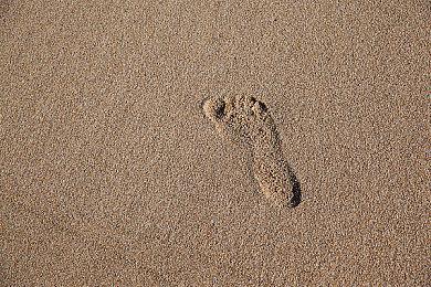 《赛博朋克2077》Steam再次史低 近期游戏史低一览